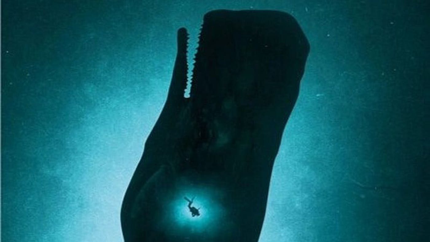 rezension: whalefall (roman)